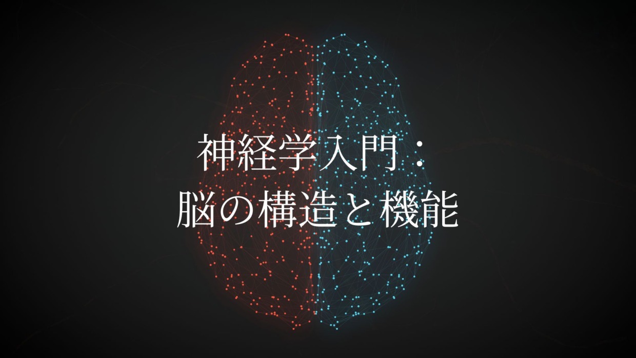 神経学入門：脳の構造と機能